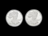 [PRIVATE ISSUE) Two 1-Pound Silver Rounds