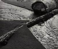 Beach Landscape