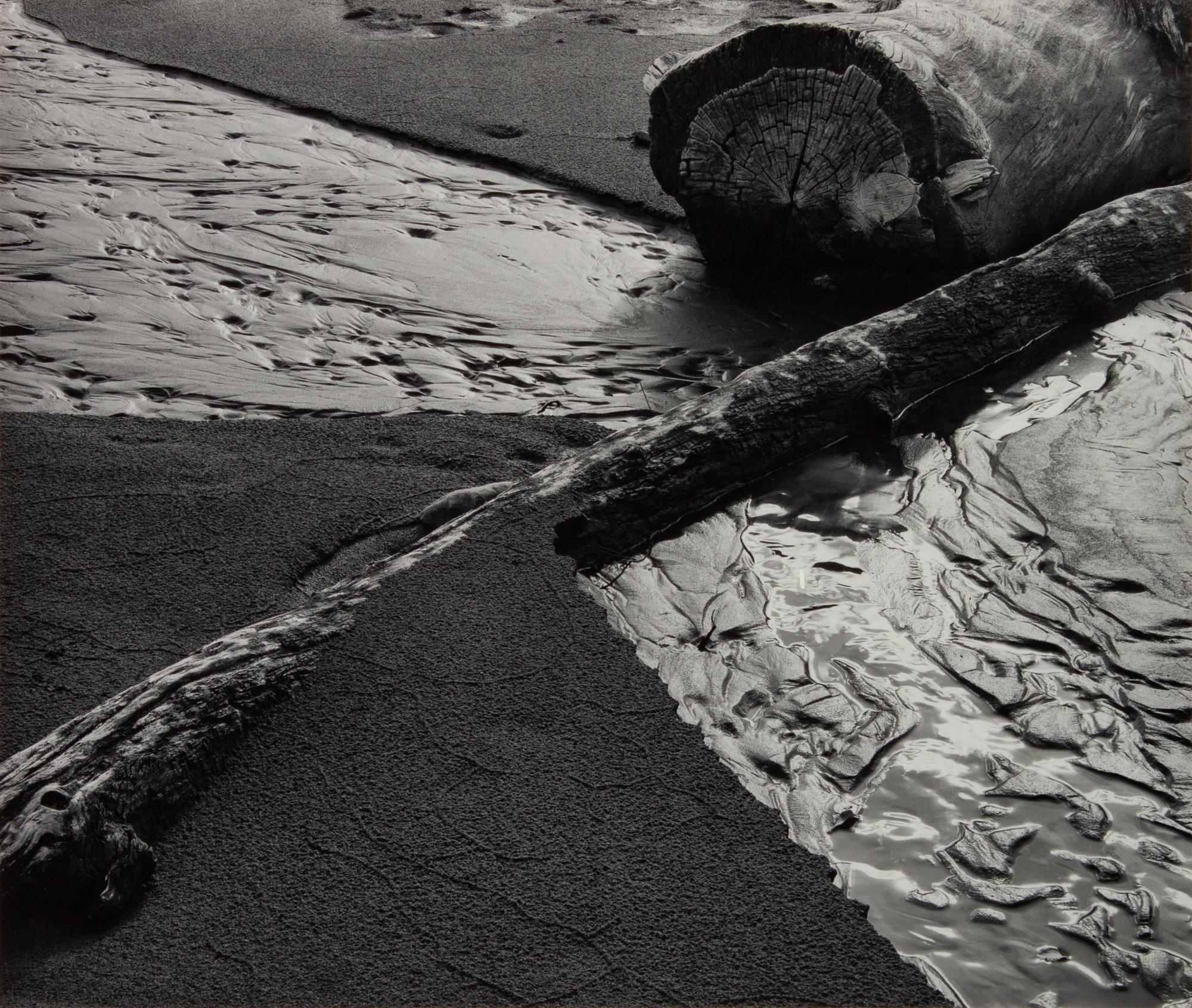 Beach Landscape