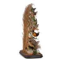 A Victorian Bird Taxidermy Diorama