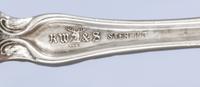 An American Art Nouveau Silver Serving Spoon, R. Wallace & Sons Mfg. Co., Wallingford, CT, monogrammed GFS on the underside.