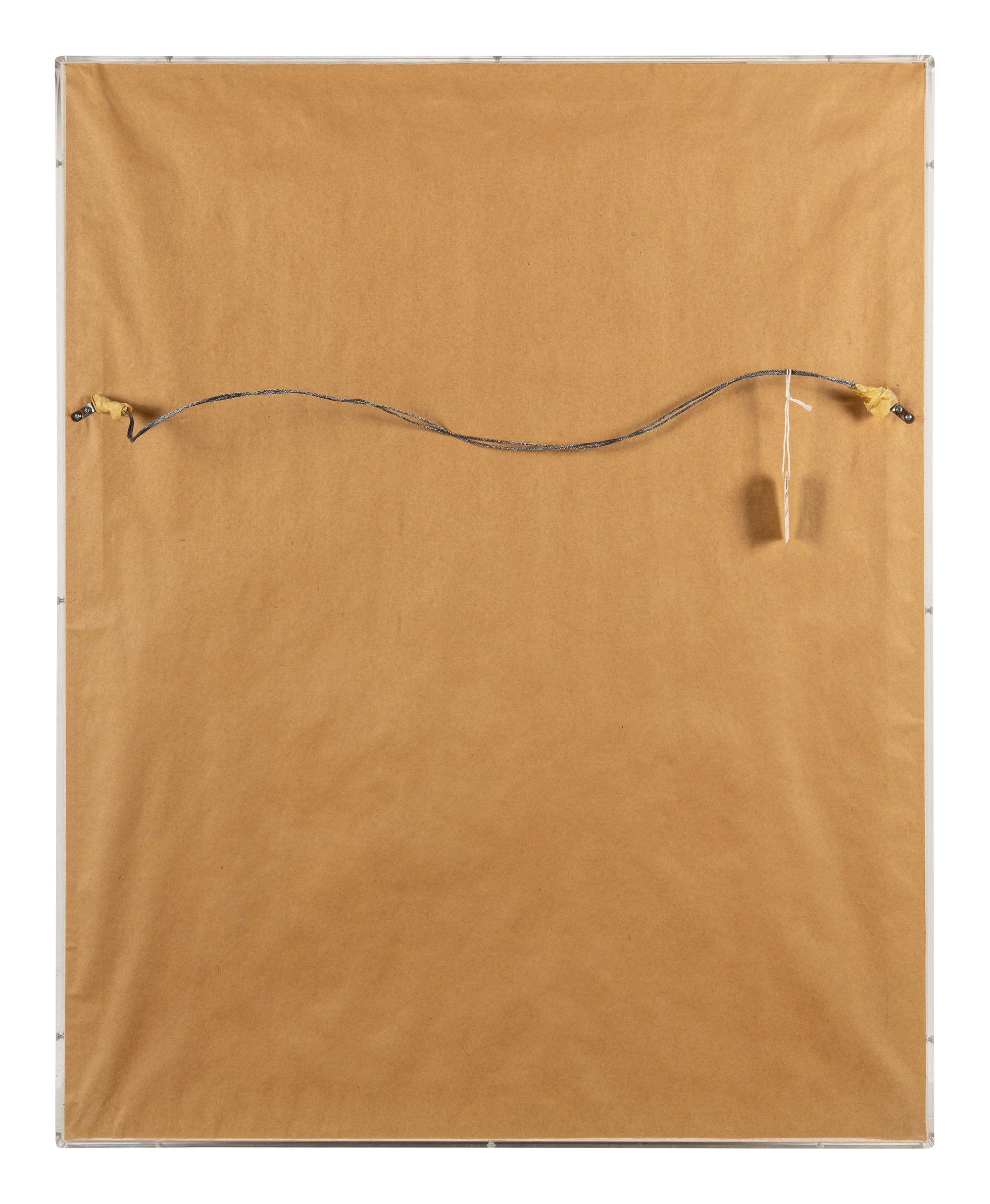 Torso Blanco
