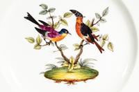 A Pair of Meissen Porcelain Plates