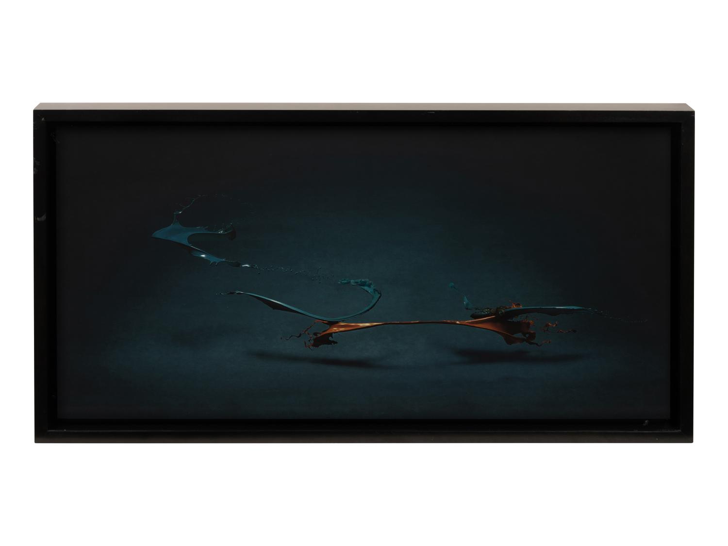 Garden #7