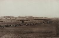 Group of Three Photographs