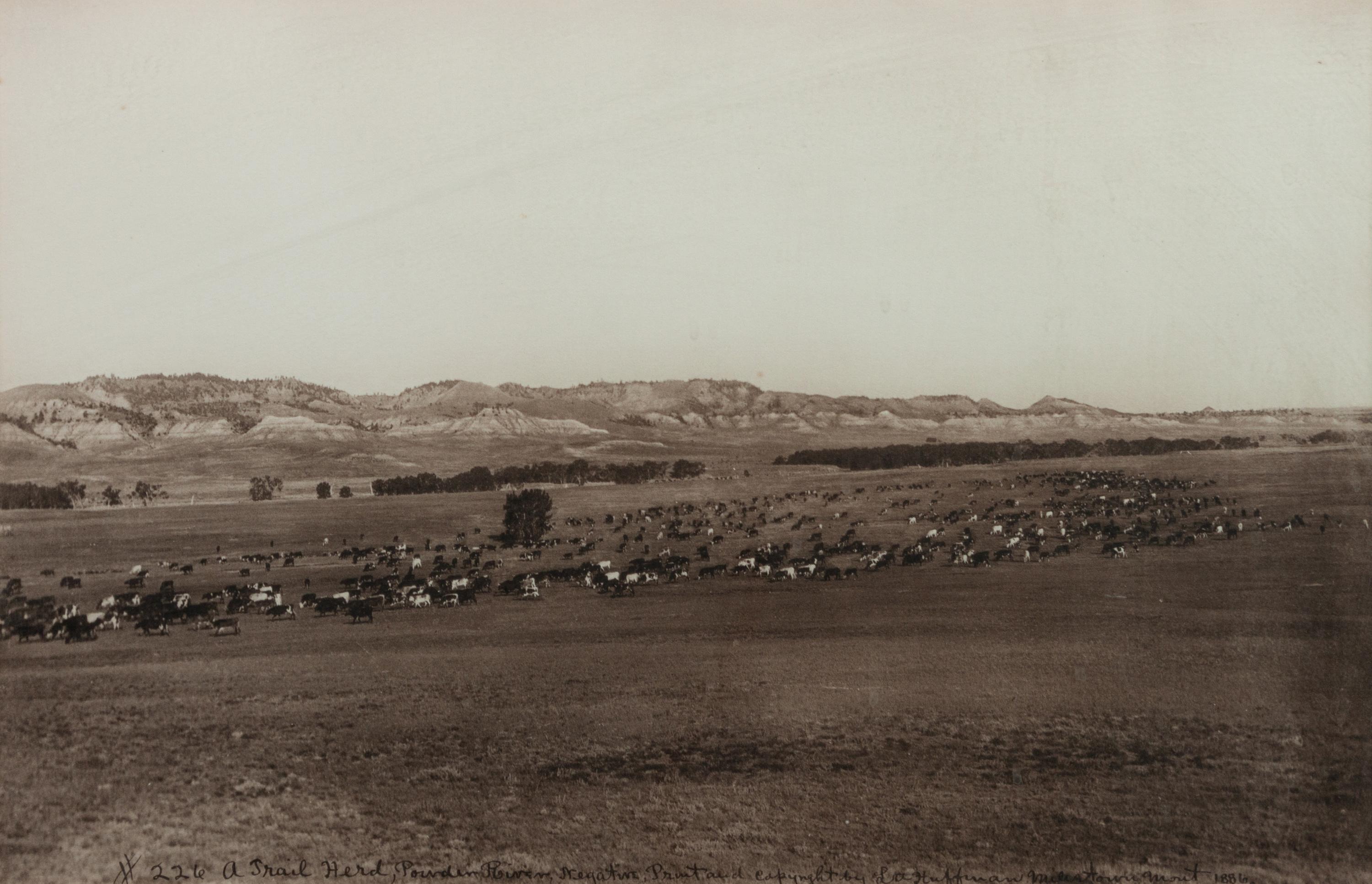 Group of Three Photographs