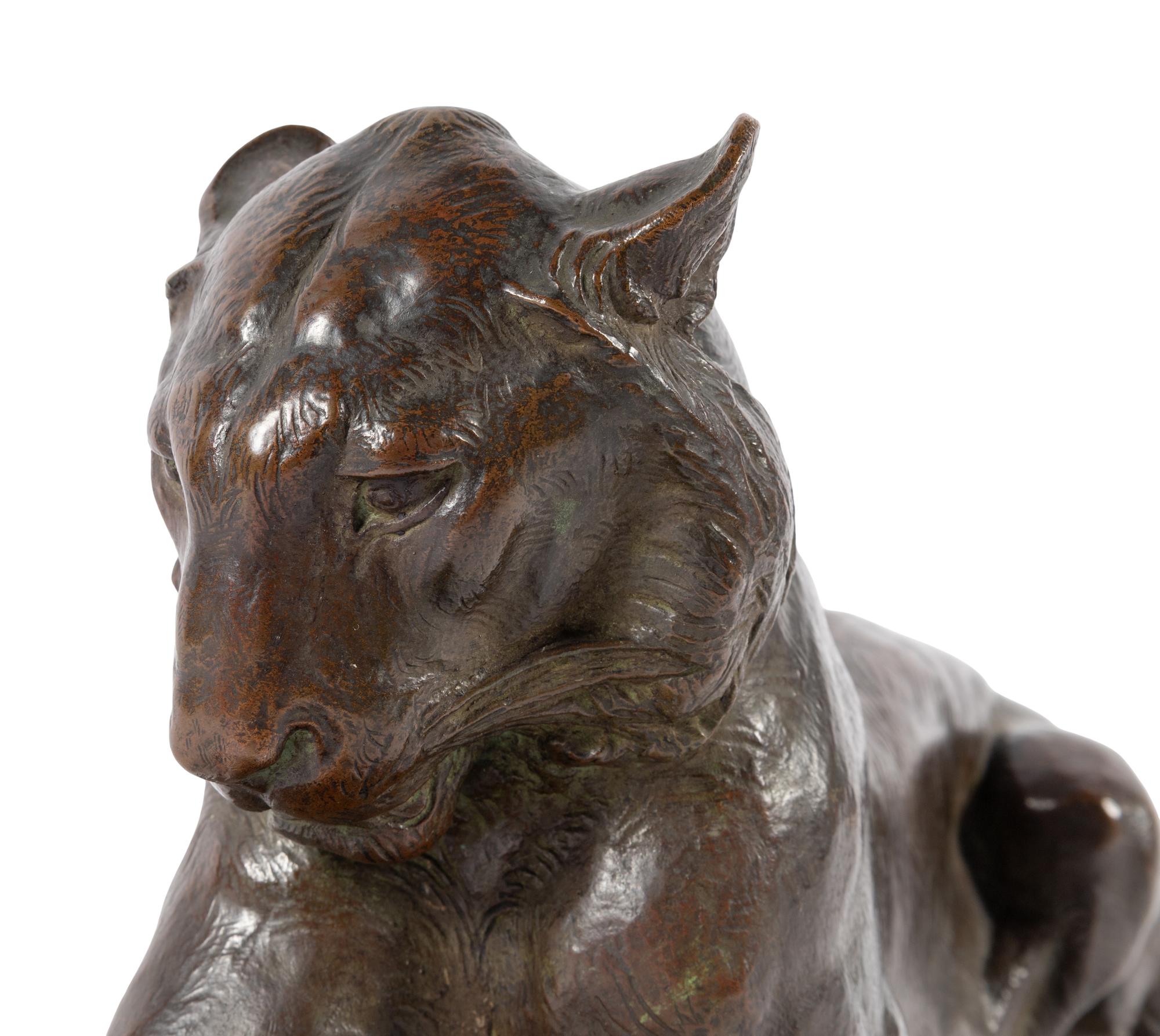 Princeton Tiger , 1912
