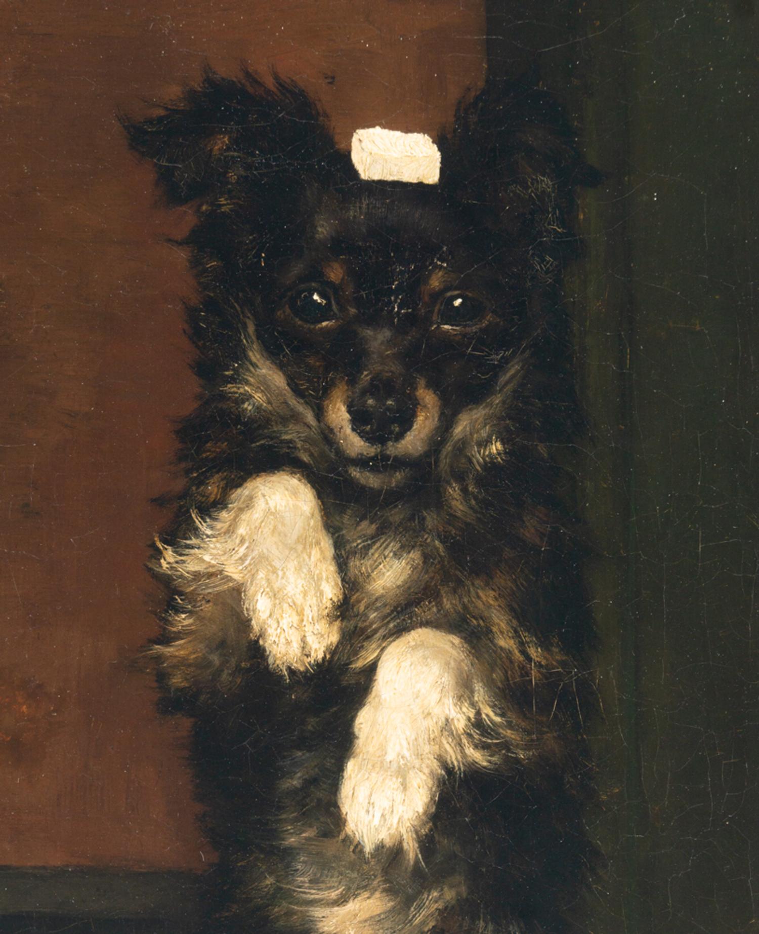 Very Good Boy