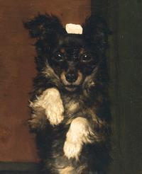 Very Good Boy
