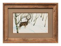 Aspen and Snow - Mule Deer