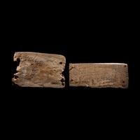 Two Egyptian Painted Wood Fragments