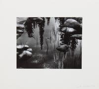 Brett Weston, (American, 1911-1993), Untitled, 1966, from Voyage of the Eye