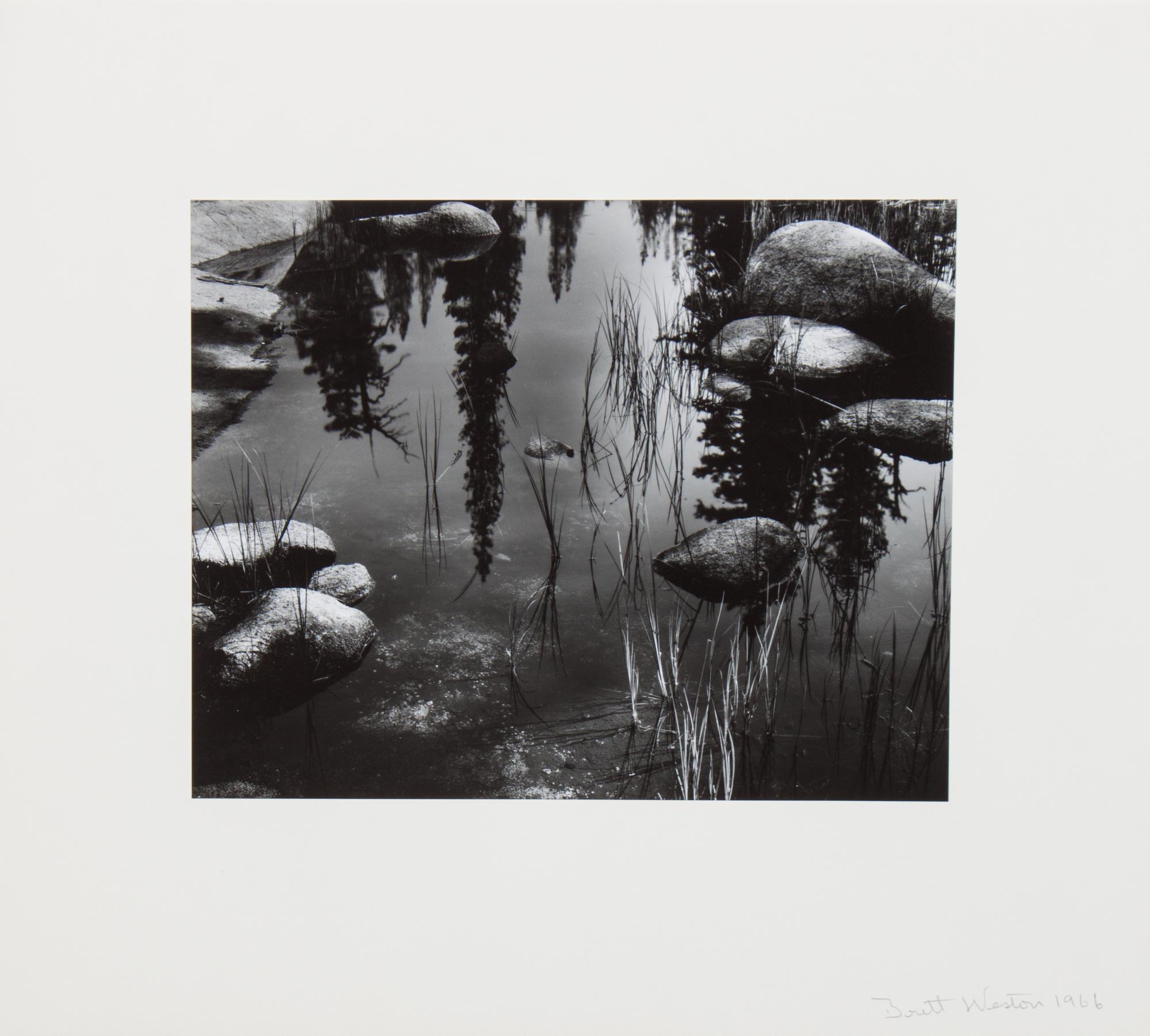 Brett Weston, (American, 1911-1993), Untitled, 1966, from Voyage of the Eye
