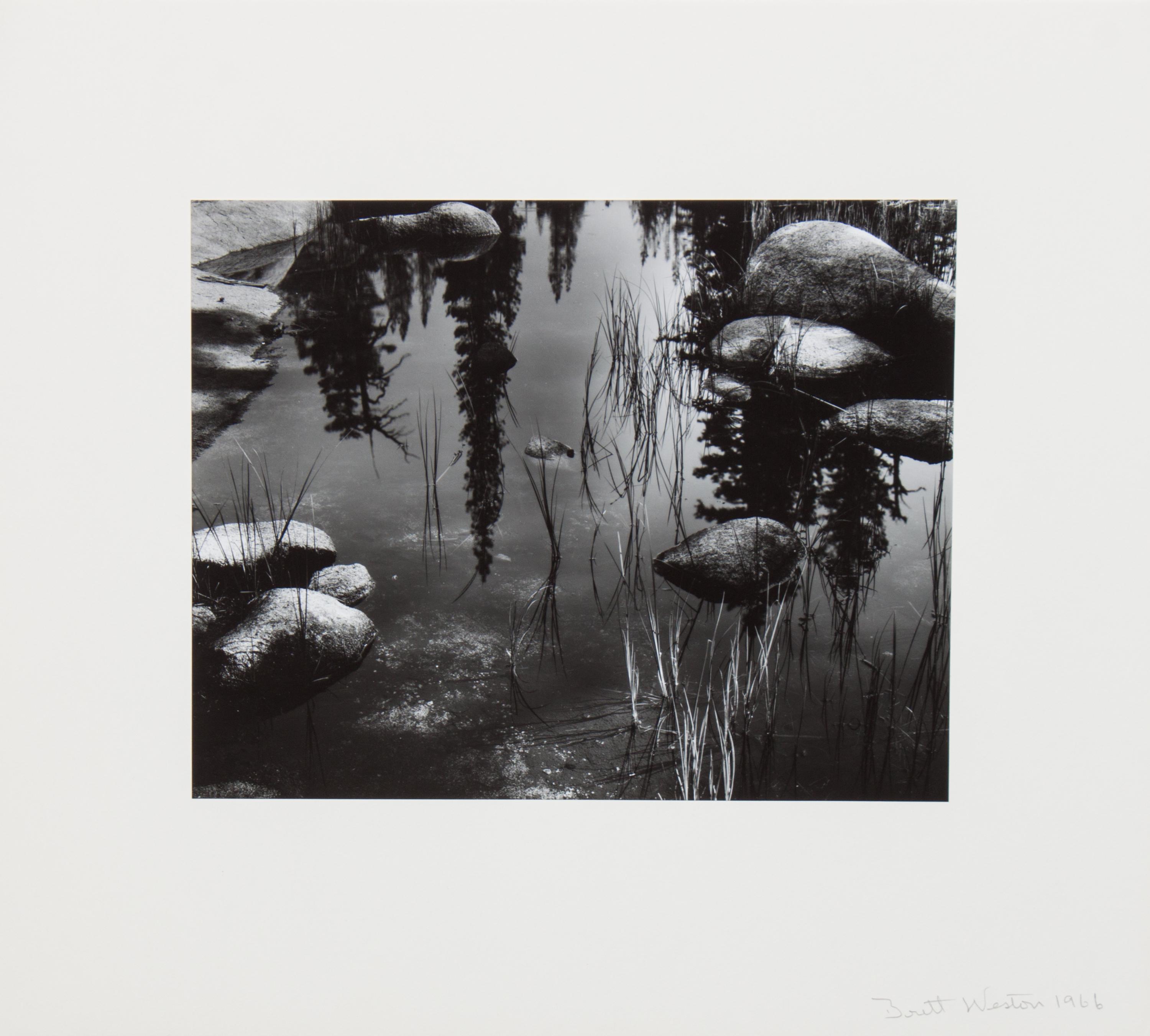 Brett Weston, (American, 1911-1993), Untitled, 1966, from Voyage of the Eye