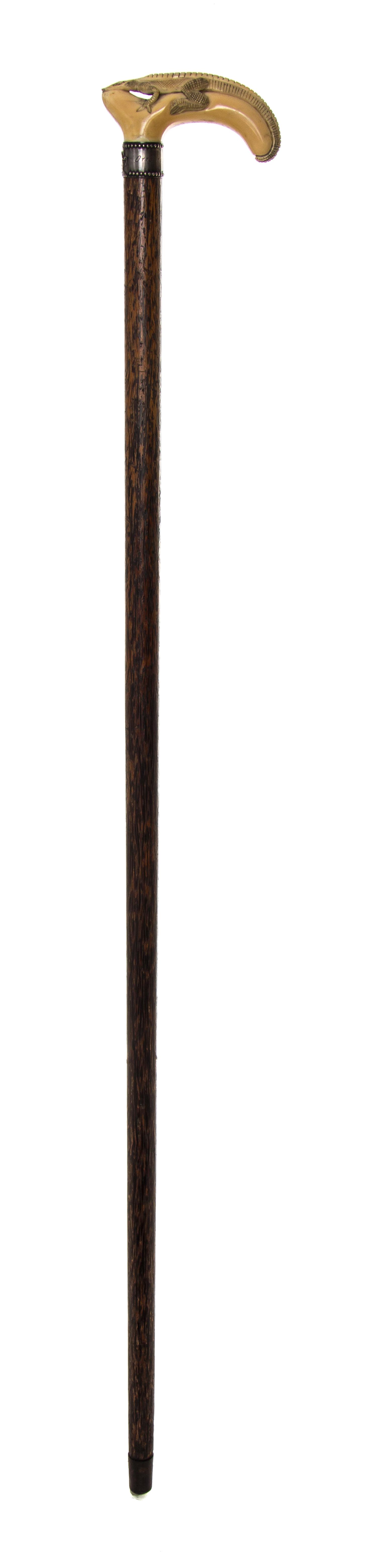 An American Walrus Ivory Handled Cane, Length of handle 4 1/2 x length overall 36 3/4 inches.
