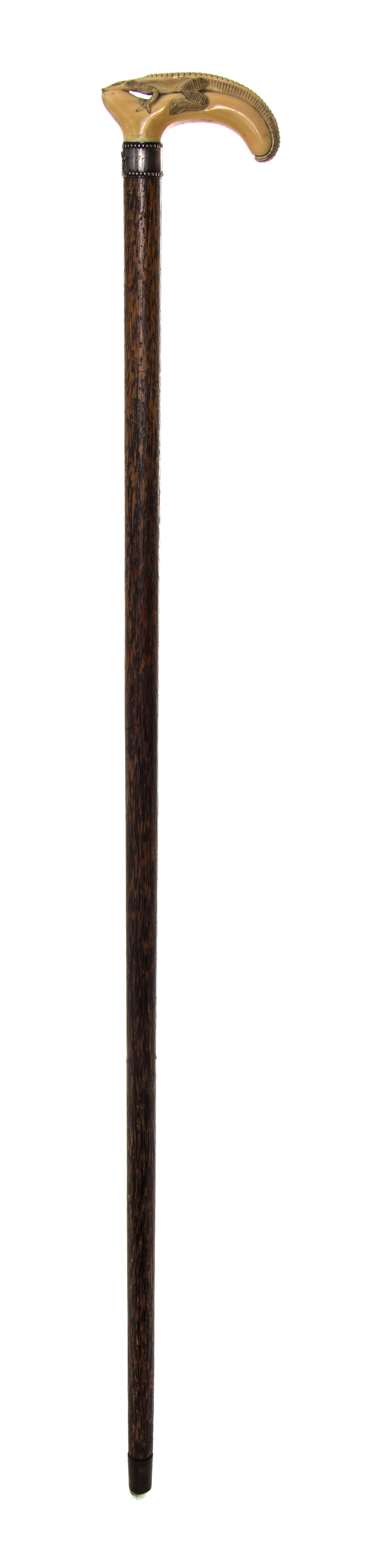 An American Walrus Ivory Handled Cane, Length of handle 4 1/2 x length overall 36 3/4 inches.