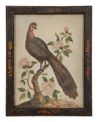 A Watercolor and Gouache Bird Illustration in the Manner of Samuel Dixon