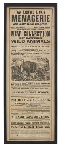 [Circus] [Van Amburgh, Isaac A.] Van Amburgh & Co.'s Menagerie and Great Moral Exhibition