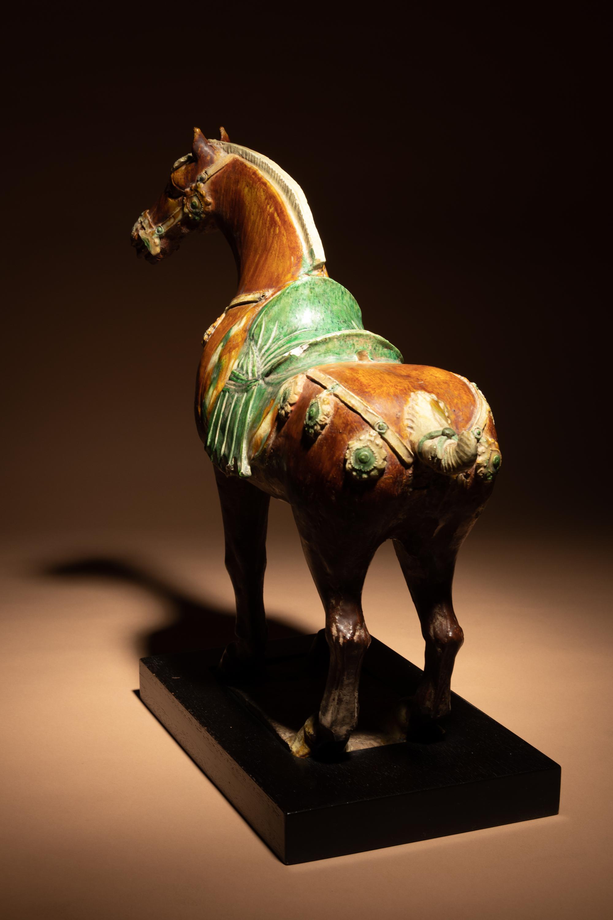 A Sancai Glazed Pottery Figure of a Standing Horse