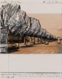 Five Urban Projects