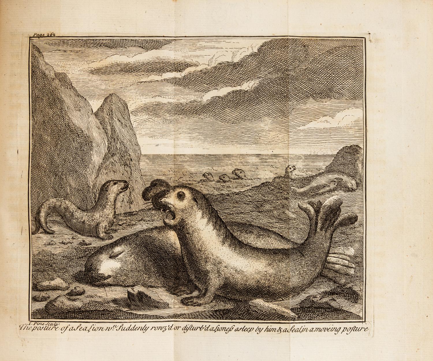SHELVOCKE, George, Captain (1675-1742). A Voyage Round the World, By the Way of the Great South Sea: performed in a private Expedition