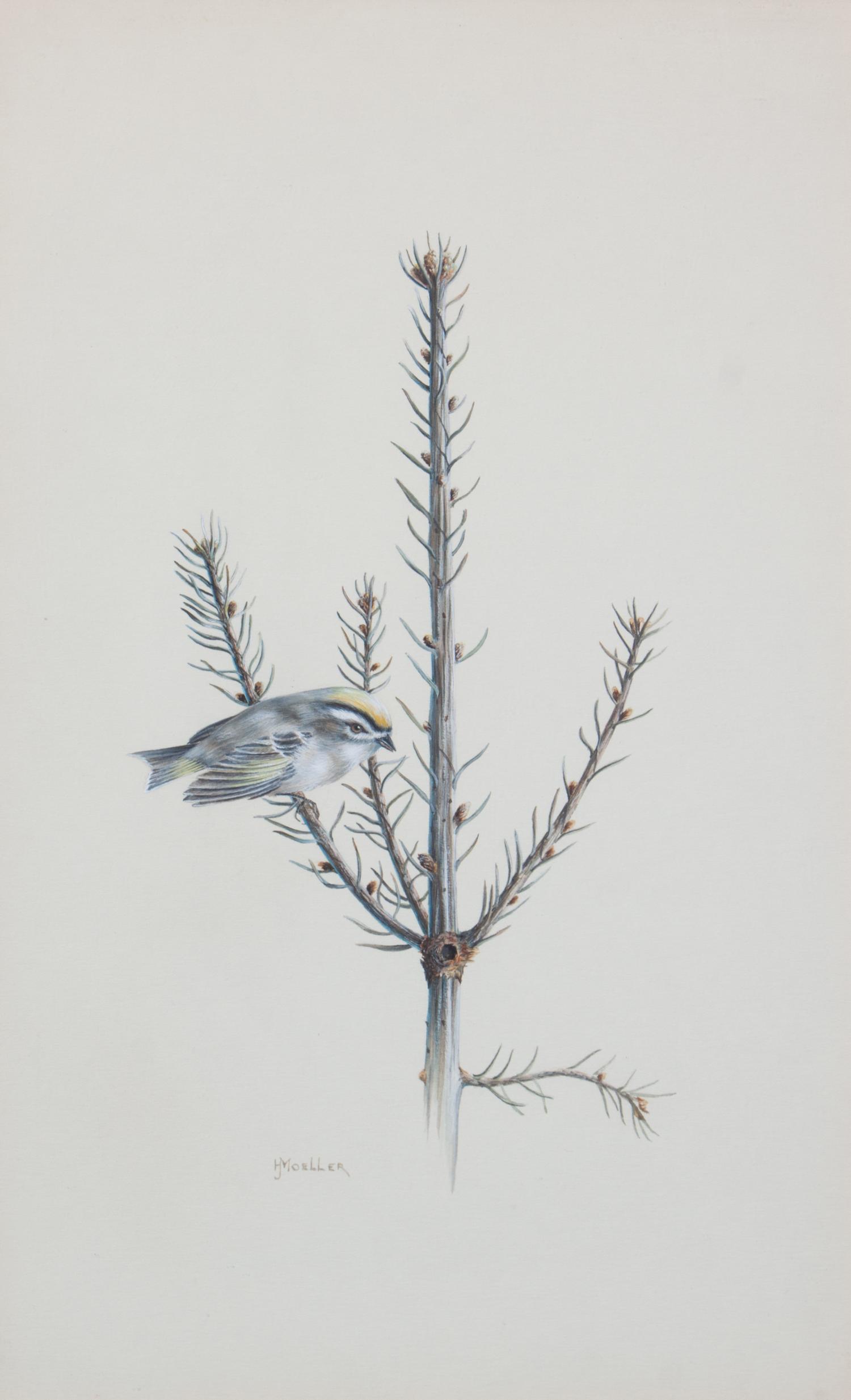 Harry J. Moeller, (Wisconsin, 1932-1996), Birds (two works)
