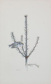 Harry J. Moeller, (Wisconsin, 1932-1996), Birds (two works)