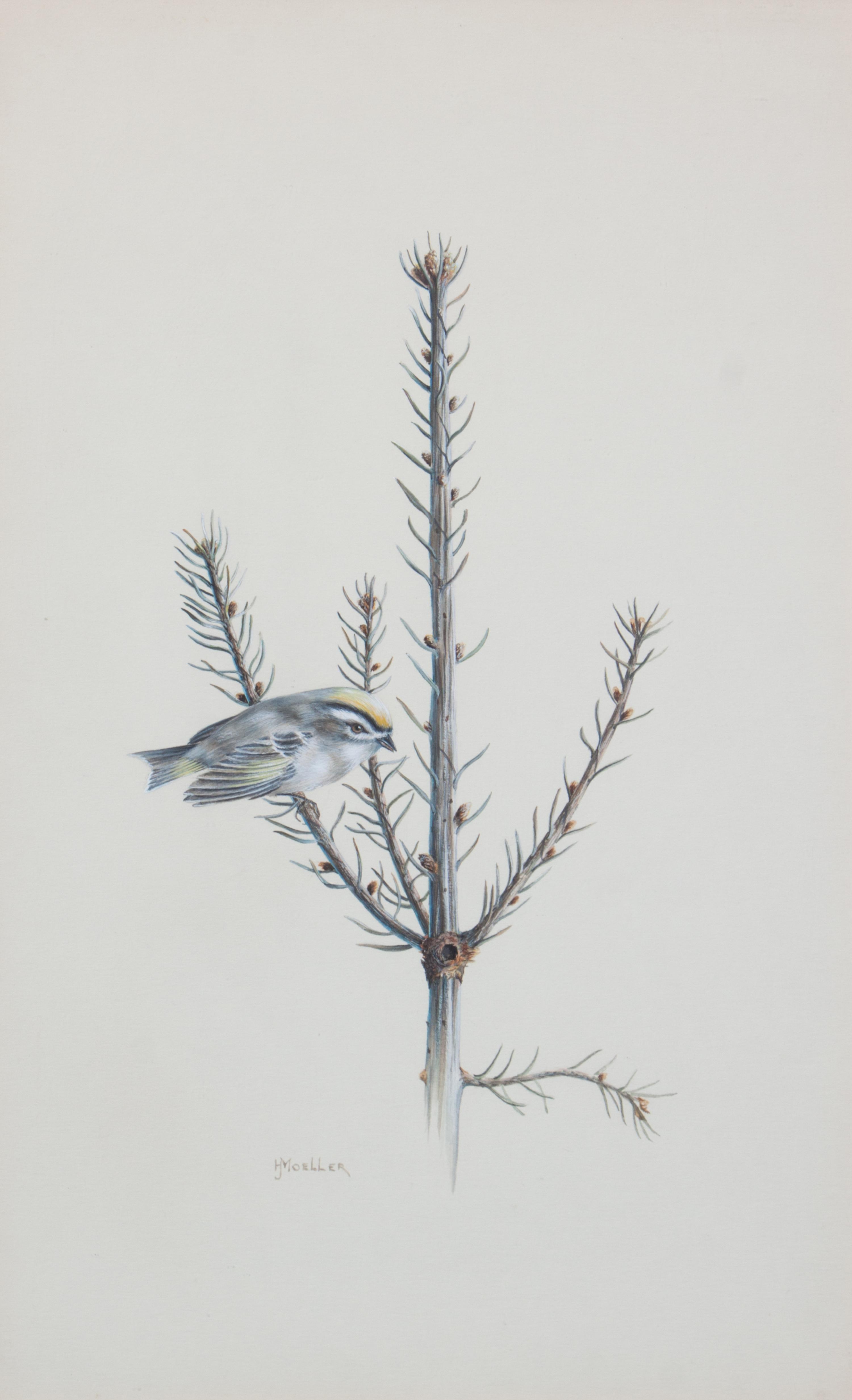 Harry J. Moeller, (Wisconsin, 1932-1996), Birds (two works)