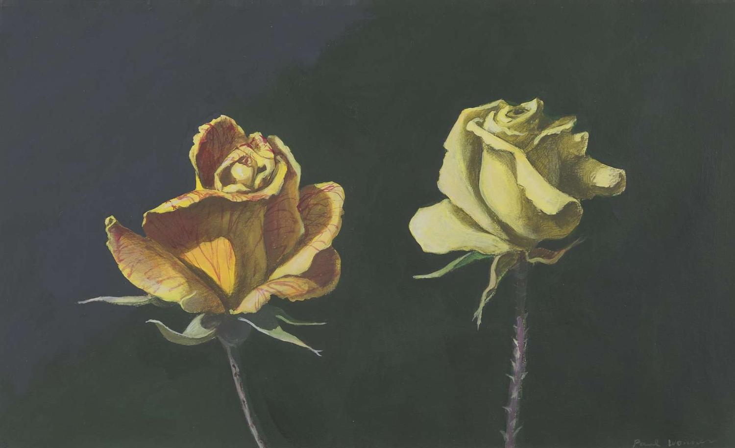 Two Yellow Roses