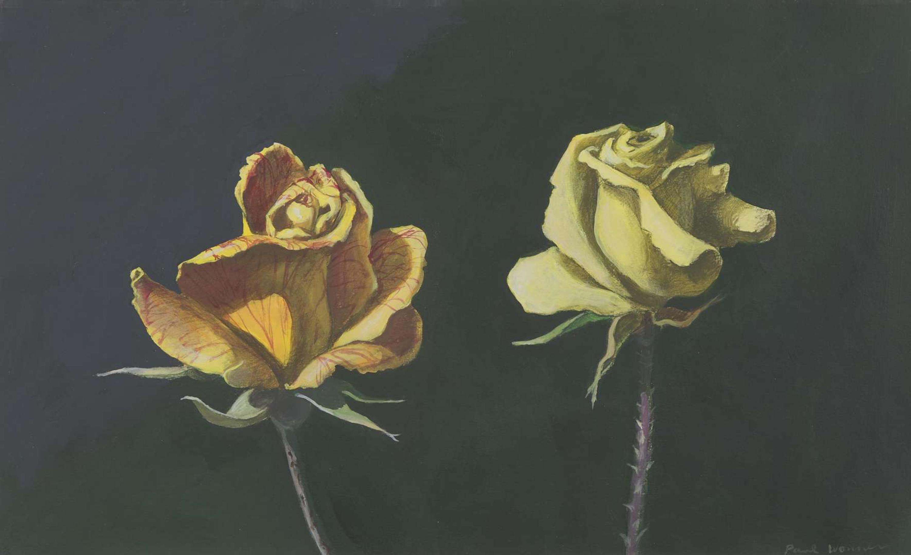 Two Yellow Roses