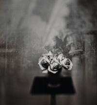 White Roses (Gold Toned) , 1998