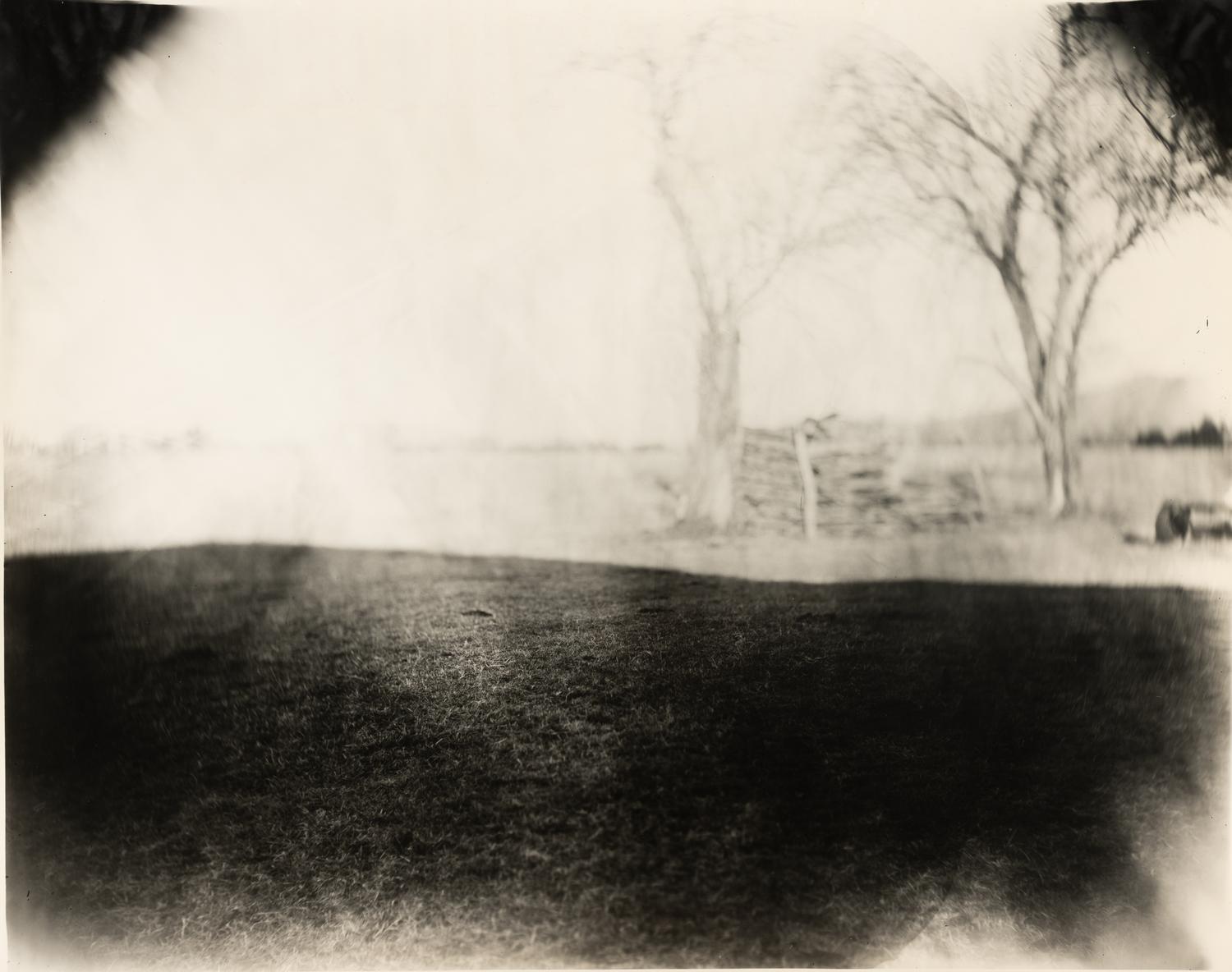 Georgia Untitled (Dodd's Farm), from the series Georgia