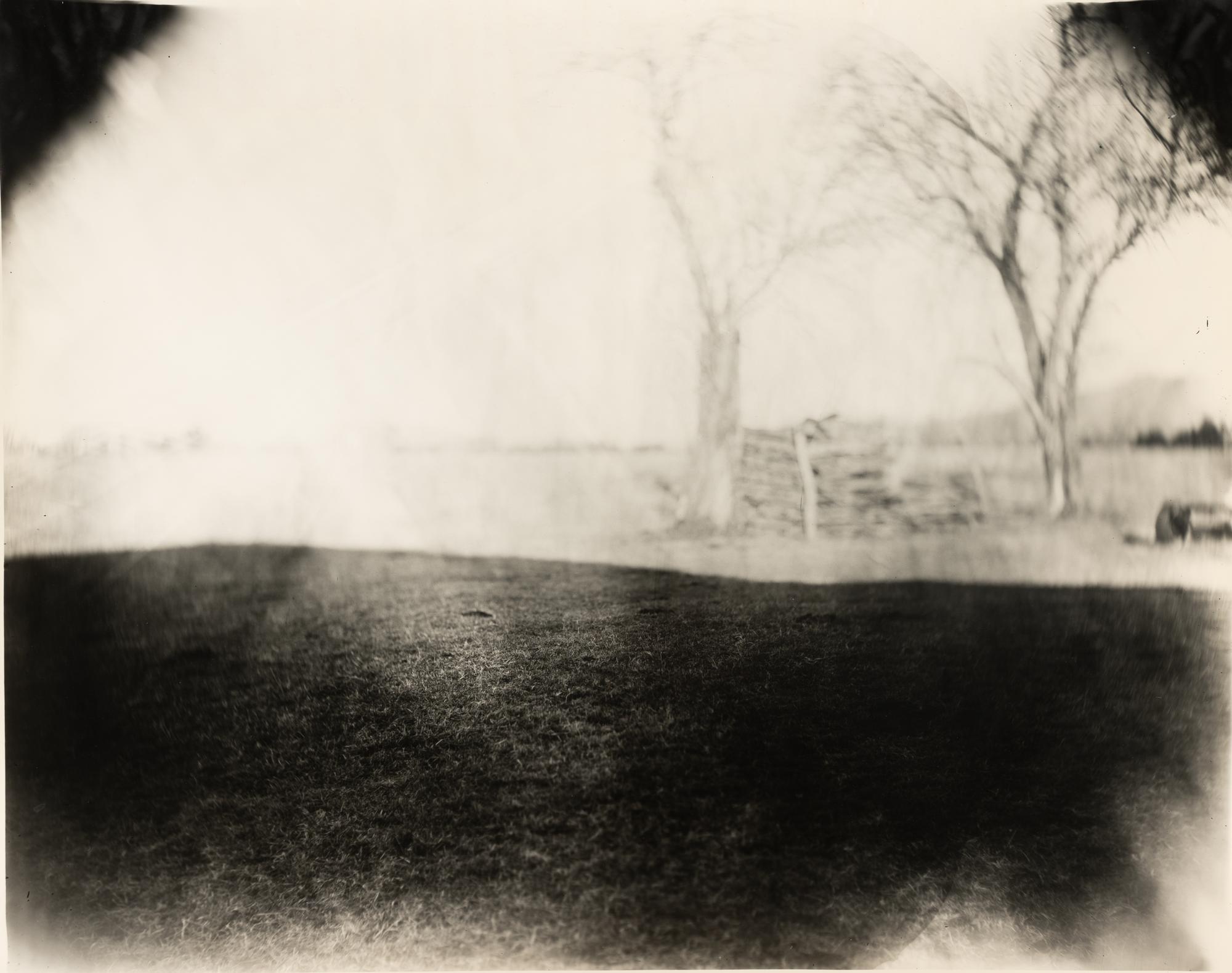 Georgia Untitled (Dodd's Farm), from the series Georgia
