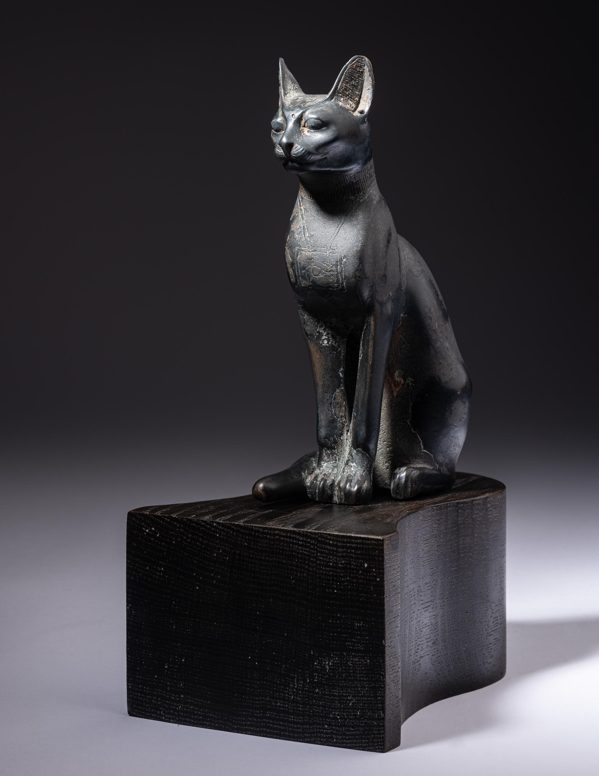 An Egyptian Bronze Cat