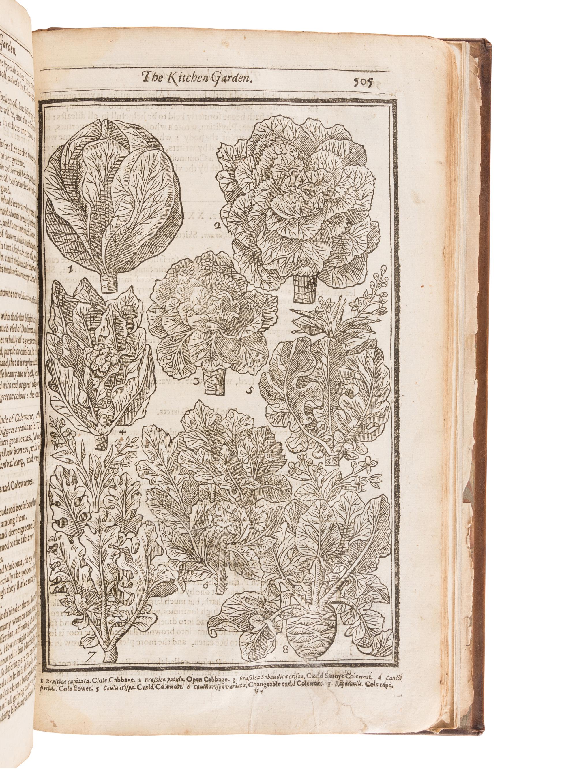 PARKINSON, John (1567-1650). Paradisi in sole Paradisus Terrestris. Or a Garden of all sorts of pleasant flowers . London: Humfrey Lownes and Robert Young, 1629.