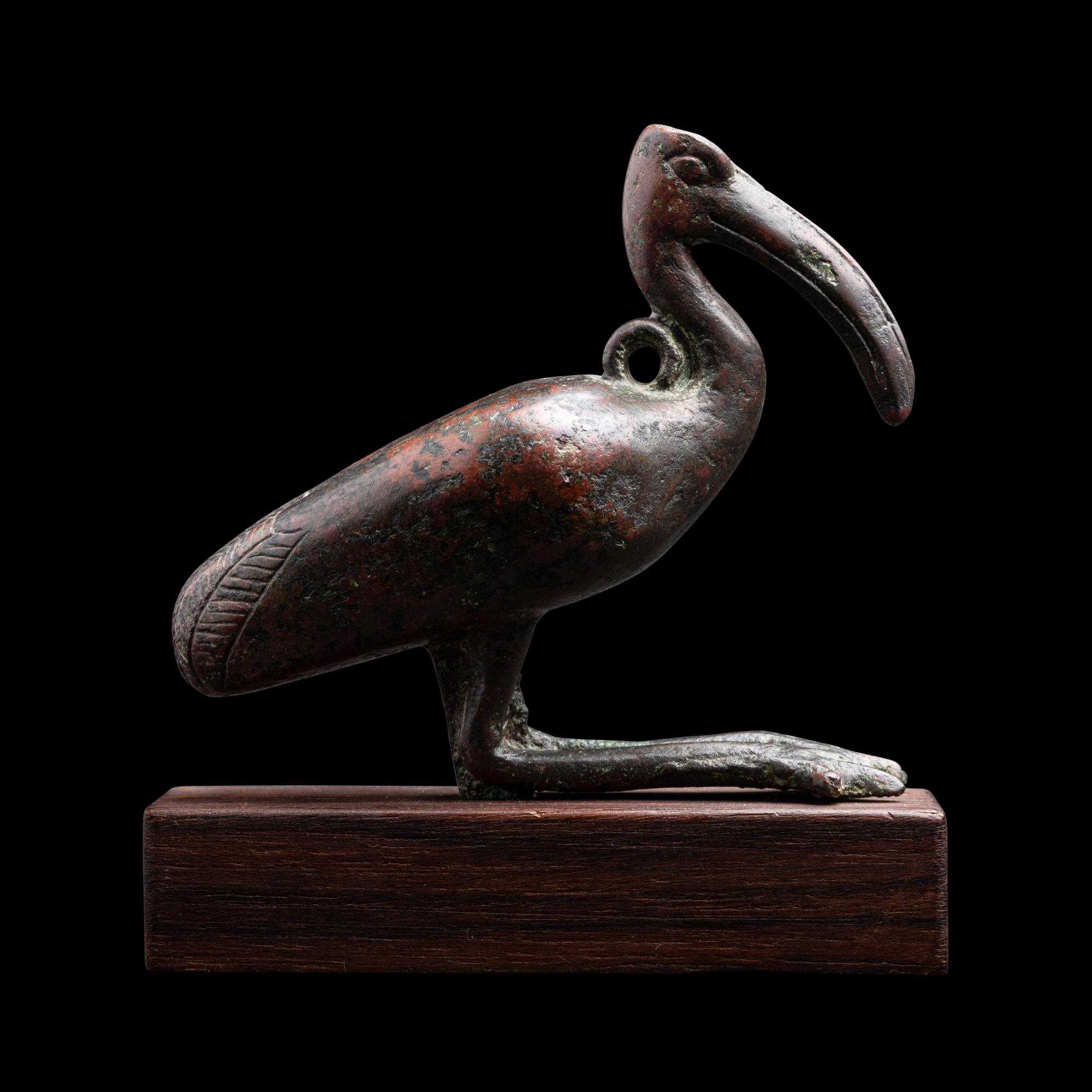 An Egyptian Bronze Ibis