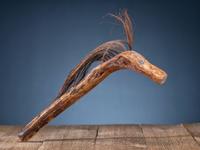 Pueblo Horse Dance Stick