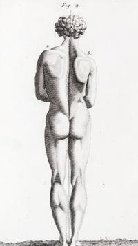 LAENNEC, R.T. Traite de L'Auscultation mediate... Paris, 1826. 2 vols. Second edition.