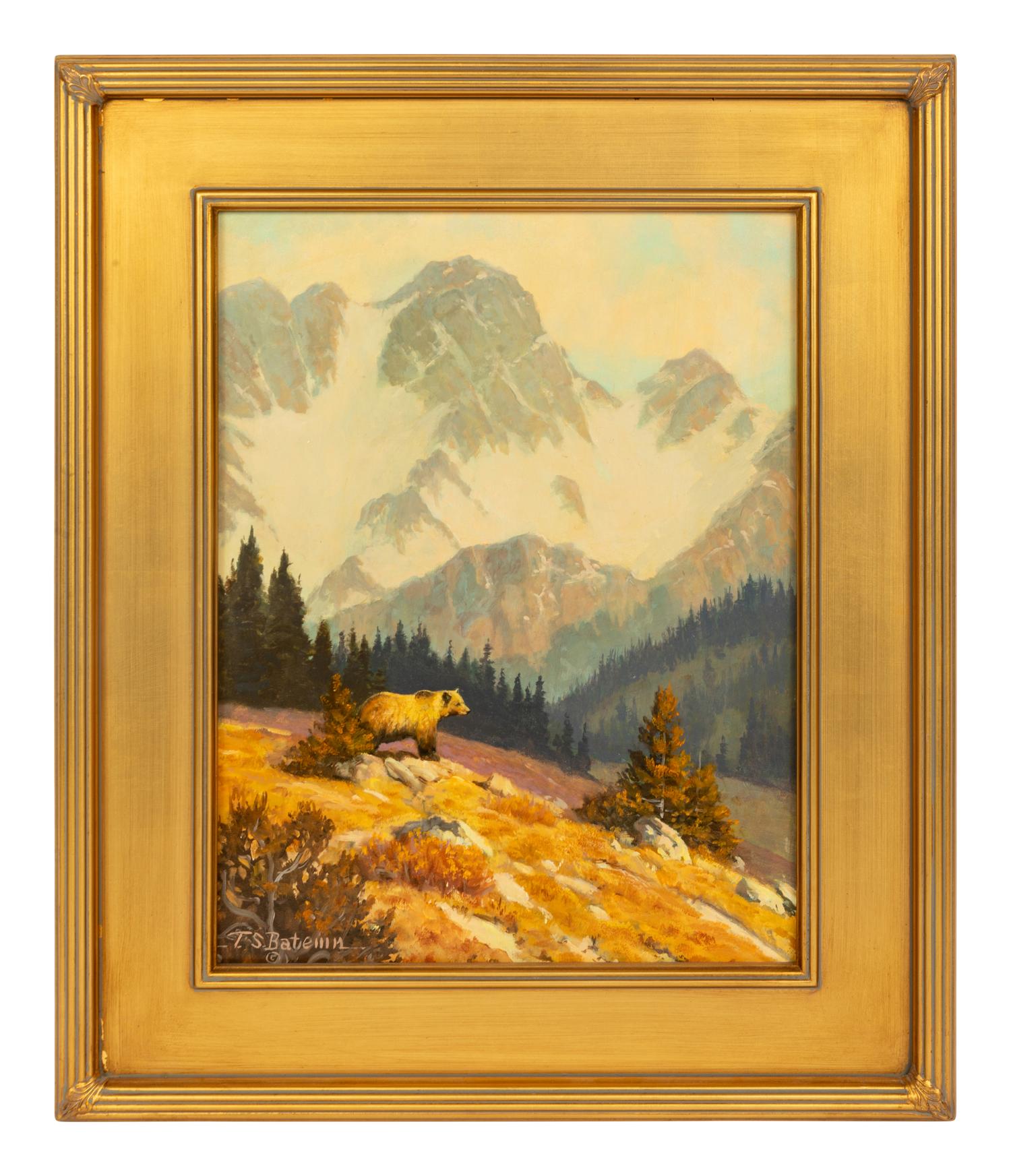 High Country Wanderer