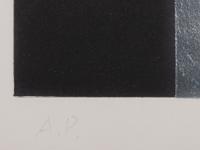 Aquatint IV
