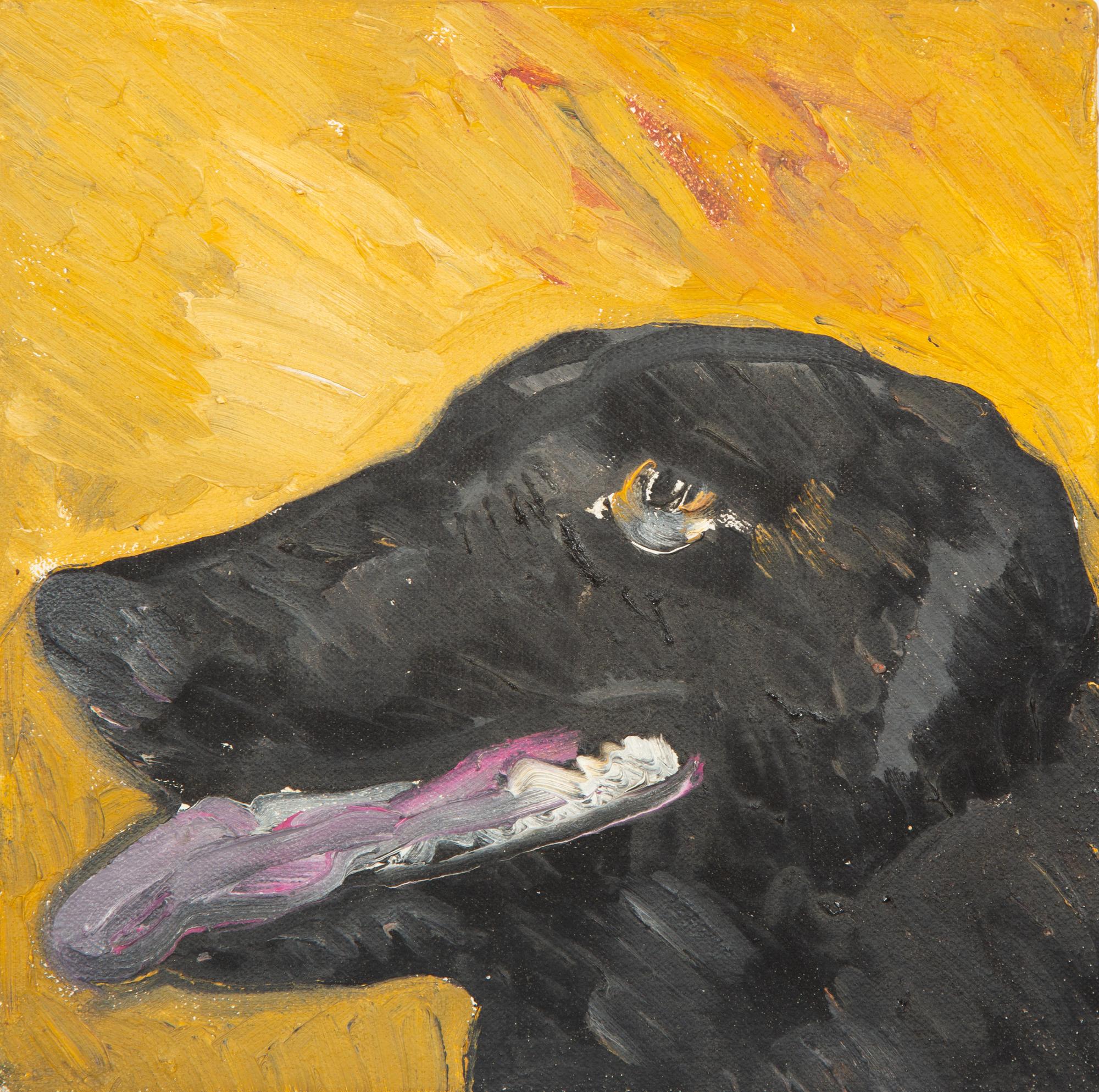 Dog, 1983