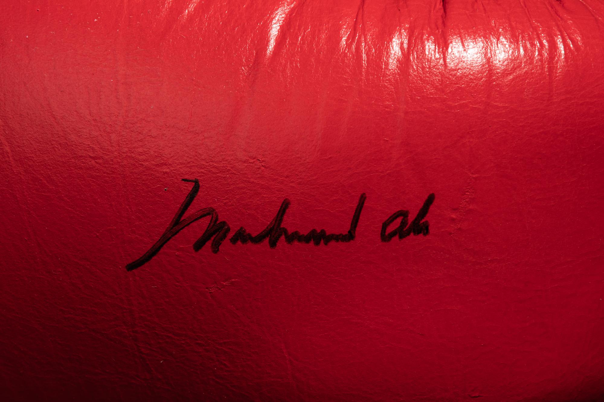 A Muhammad Ali Signed Autographed Everlast Boxing Glove (Right) Sourced Directly from Ali's G.O.A.T. Agency (BAS Beckett Authentication Services Certified),