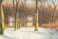 Snowy Road