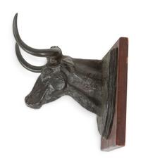 Longhorn Steer Head , number 12
