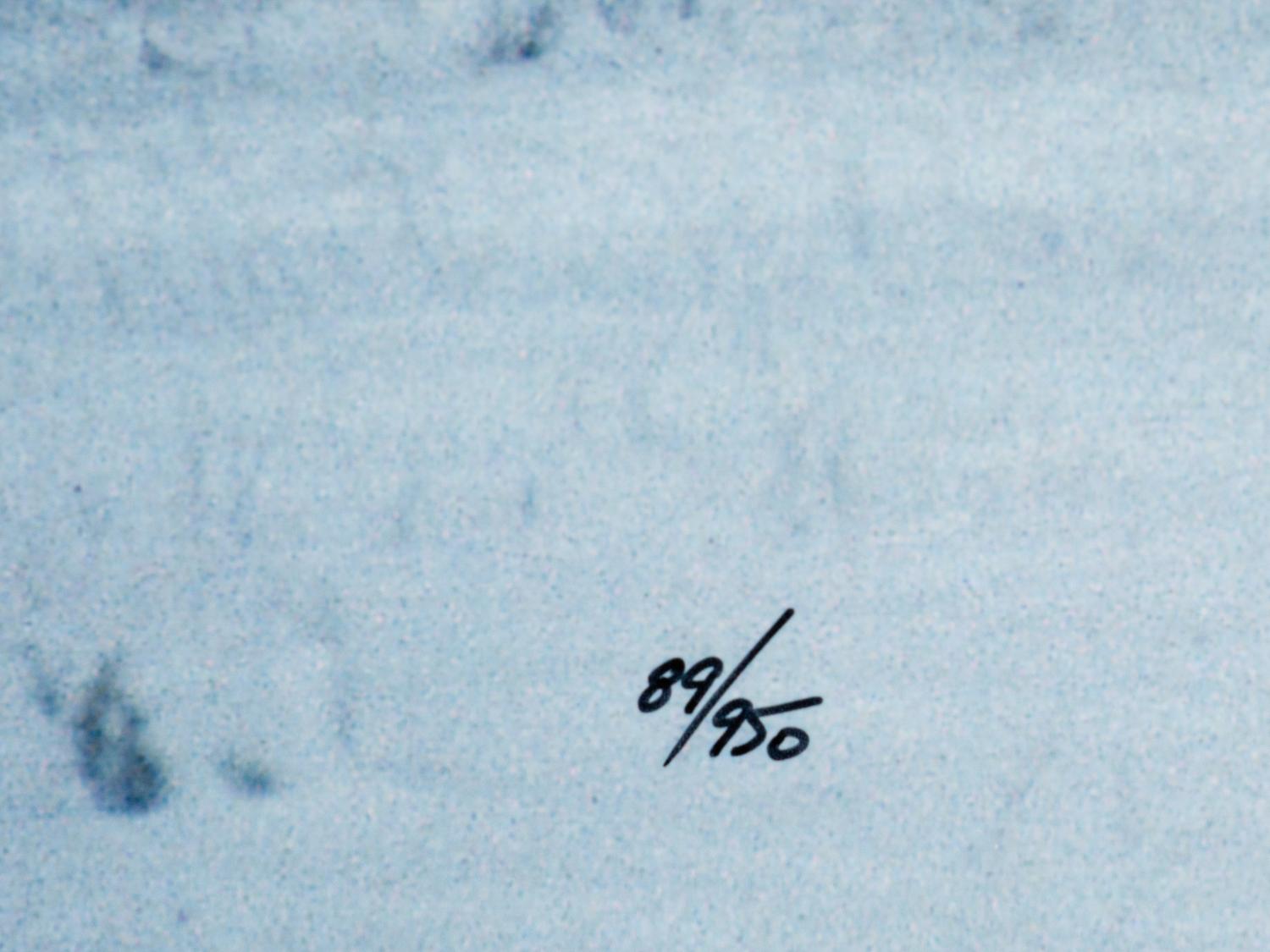 Bison in Snow , edition 89/950