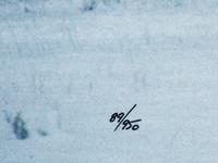 Bison in Snow , edition 89/950