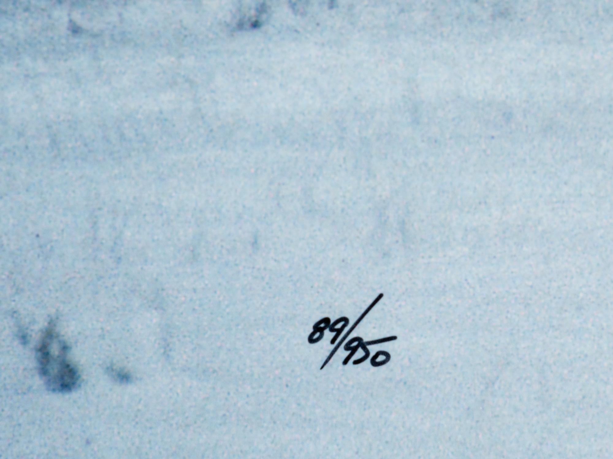 Bison in Snow , edition 89/950