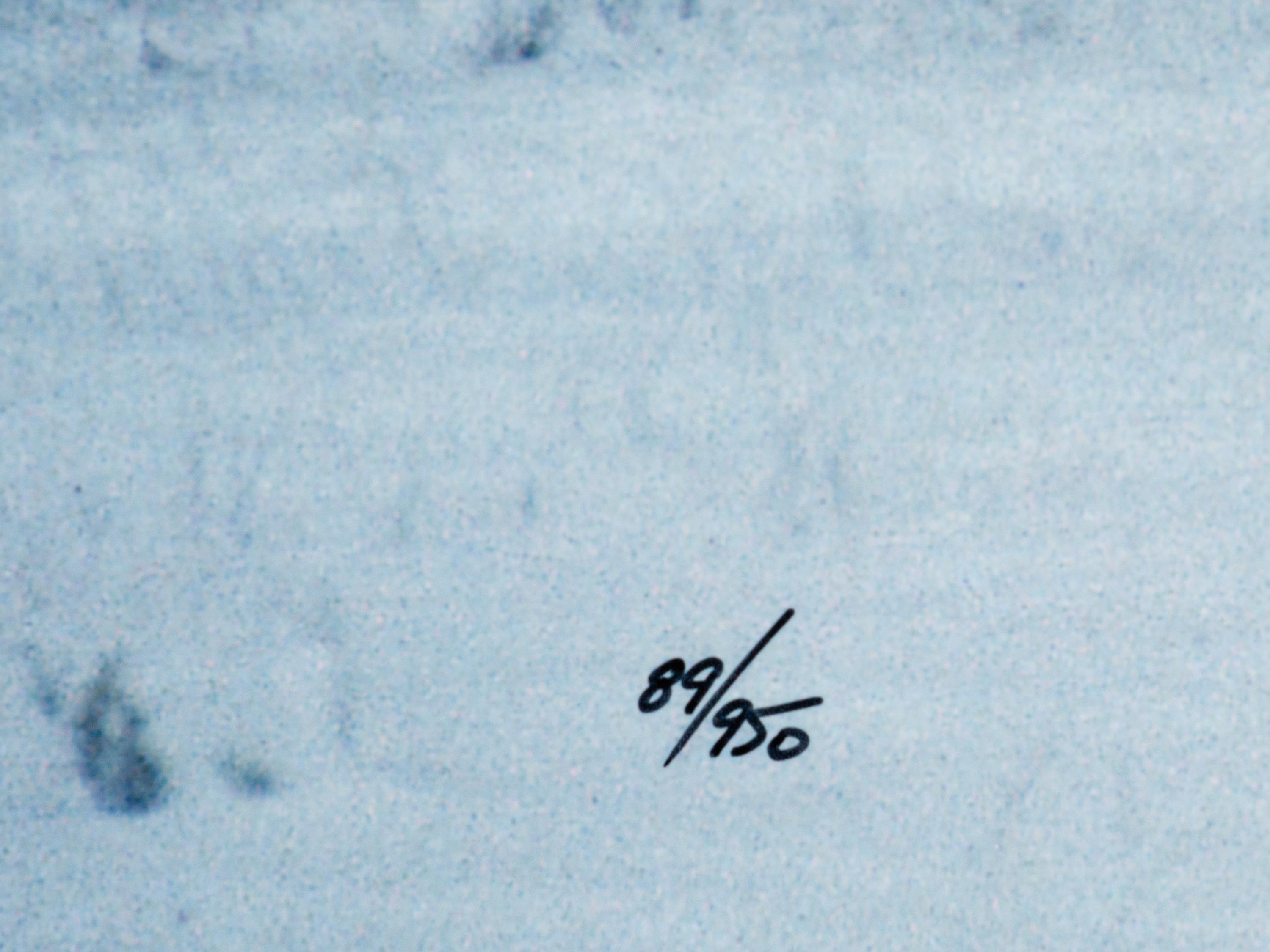 Bison in Snow , edition 89/950