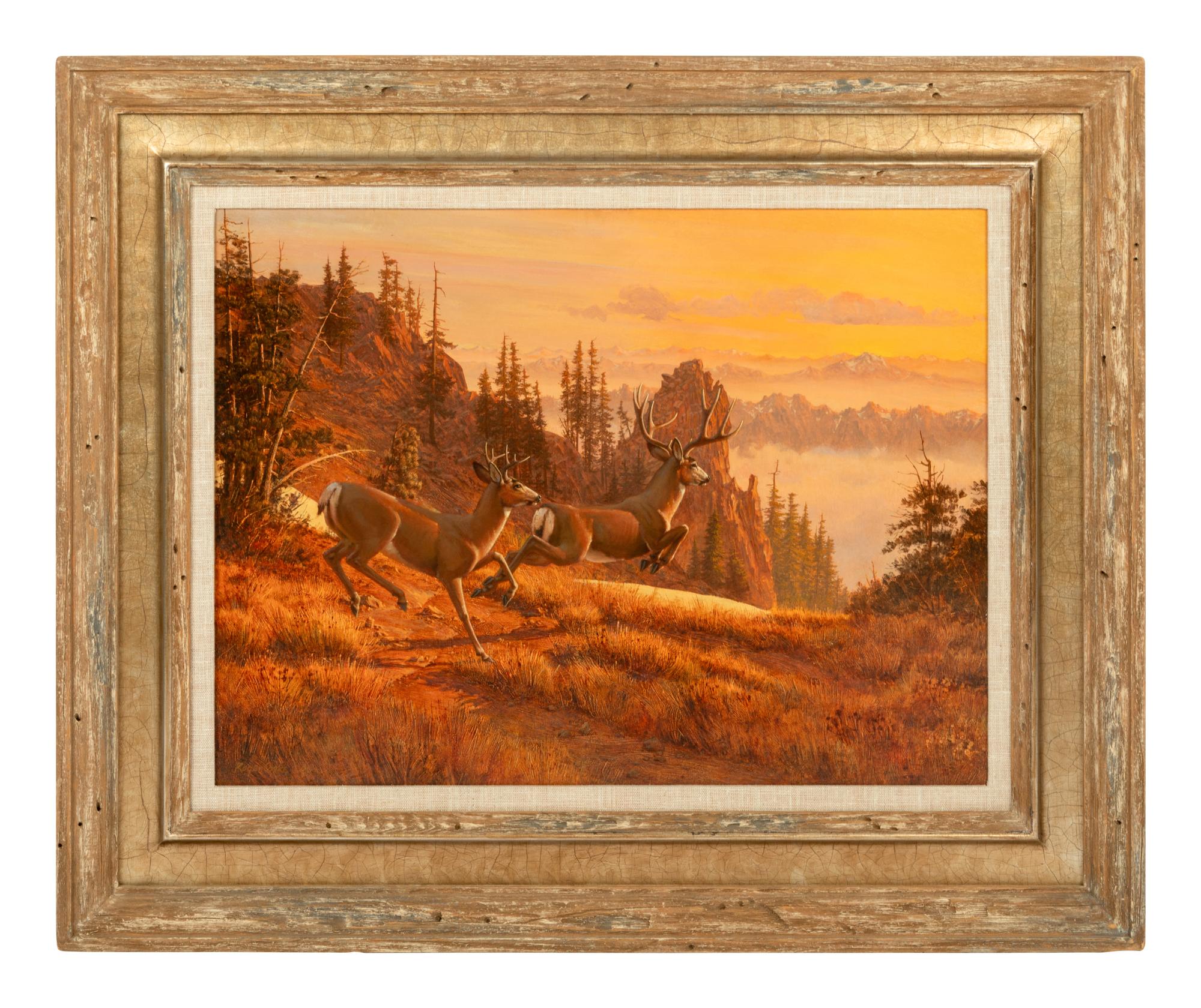 High Country , 1990
