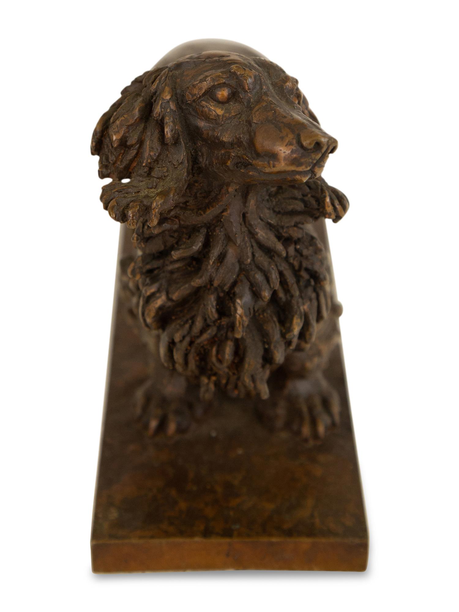 Dachshund